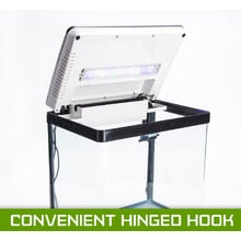 Curved Glass 30L RGB LED Fish Tank with Filter Pump
